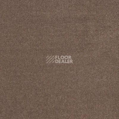 Ковролин AW Sentiment 44 фото 1 | FLOORDEALER